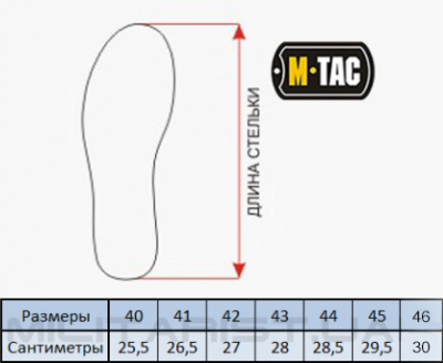 Кросівки M-Tac Trainer Pro Olive Size 40